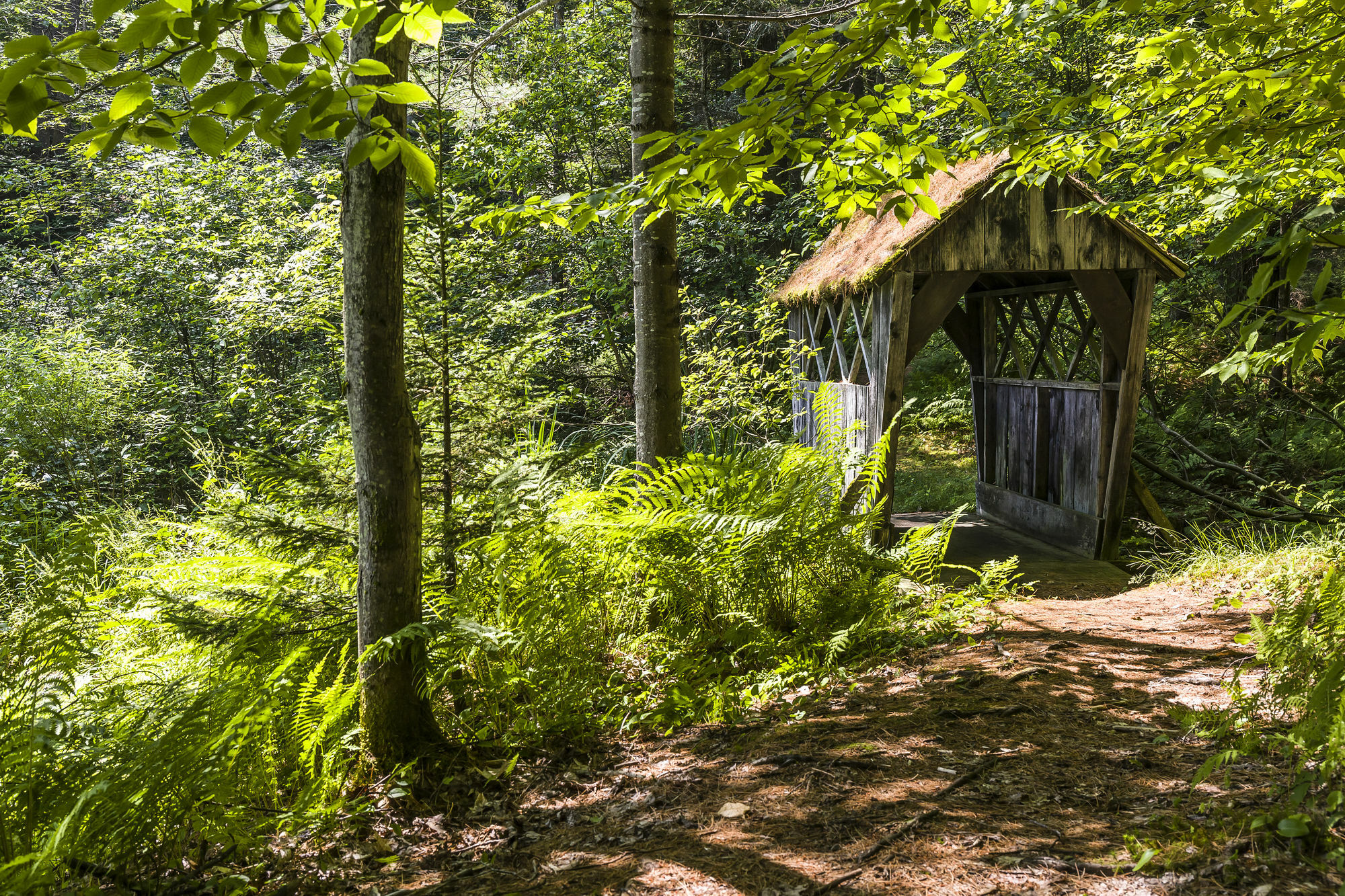 Bluebird Cady Hill Lodge Stowe Kültér fotó